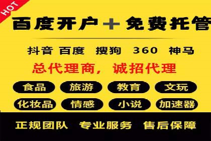 SEM推广代运营公司：行业领先的成功秘诀